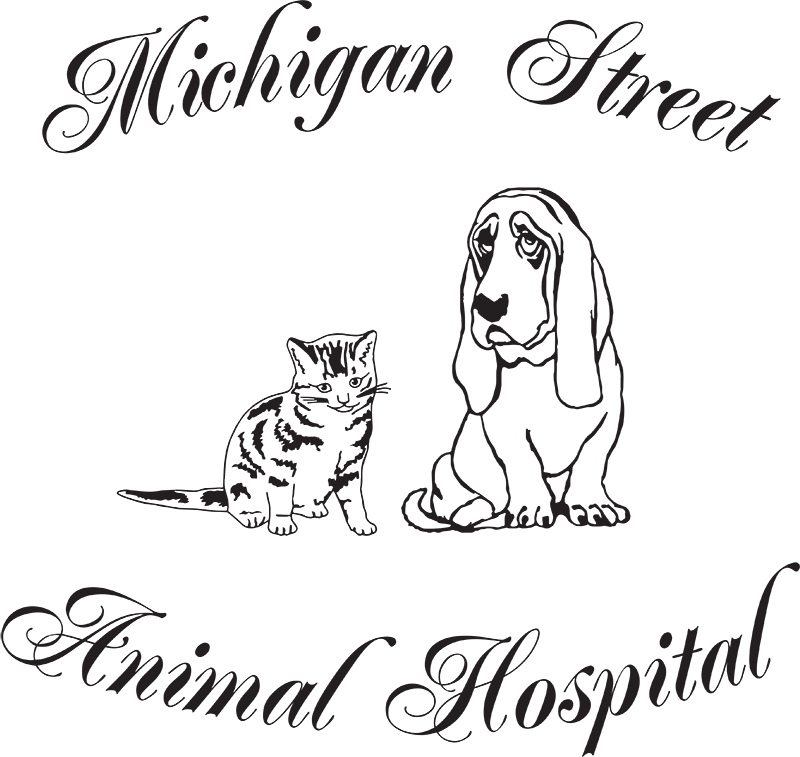 Michigan Street Animal Hospital Favicon