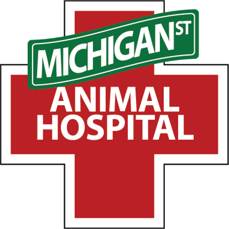 Michigan Street Animal Hospital logo